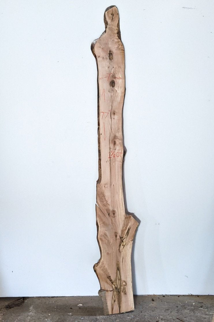 Live Edge Spalted Maple